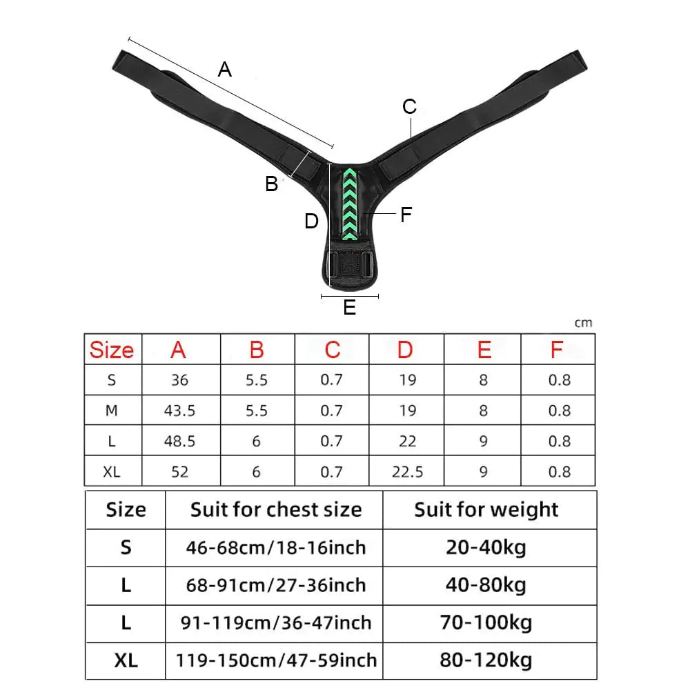 Posture Corrector